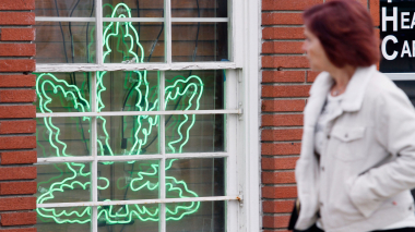 Չեռնոգորիայի ոստիկանությունը  հայտնաբերել է երկրում մարիխուանայի ամենամեծ տնկարանը