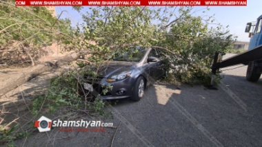 Երևանում ծառն ընկել է ավտոմեքենայի վրա