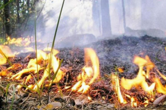 Երևանում և մի շարք մարզերում բարձր կարգի հրդեհավտանգ իրավիճակ է սպասվում․ ԱԻՆ