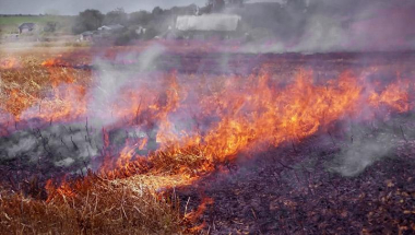 Շիրակի մարզի Հոռոմ գյուղում խոտածածկ տարածք է այրվել