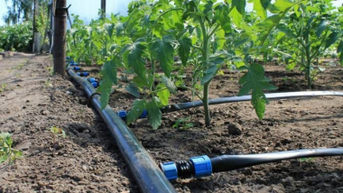 Սուբվենցիոն ծրագրով Սպանդարյանում կառուցվում է ոռոգման համակարգ