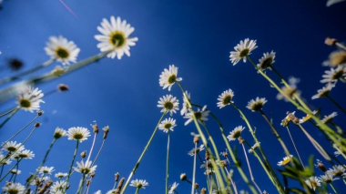 ԱԻՆ-ը զգուշացնում է ՀՀ որոշ տարածքներում բարձր կարգի հրդեհավտանգ իրավիճակի առկայության մասին