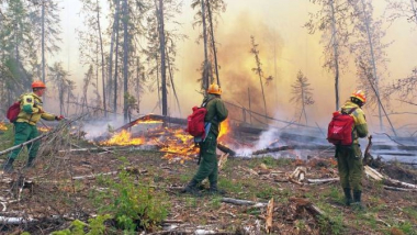 Ռուսաստանում կրակով տարածված անտառների մակերեսը գերազանցել է 2020 թվականի ցուցանիշը