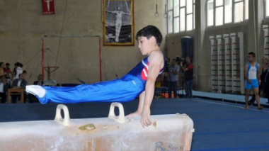 Երևանում մարմնարզության դպրոցի կառուցումը հետաձգվել է