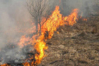Բերդում մոտ 10 հա խոտածածկույթ է այրվել