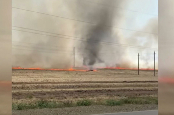 ՌԴ-ում տեսագրել են՝ ինչպես է դաշտում հրե պտտահողմ ձևավորվում (տեսանյութ)