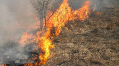 Մարտակերտի անտառներում բռնկված հրդեհը մարել չի հաջողվում