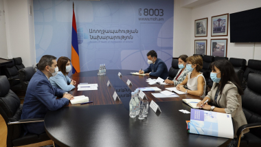Առողջապահության նախարարը կարևորել է ԵԽ-ի գործընկերությունն ու աջակցությունը