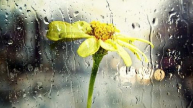 Առաջիկա օրերին սպասվում են անձրև և ամպրոպ