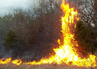 Այգուտ գյուղում այրվել է 1500 հակ անասնակեր