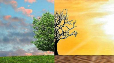 Հոկտեմբերին Թուրքիան կարող է վավերացնել կլիմայի վերաբերյալ Փարիզի համաձայնագիրը