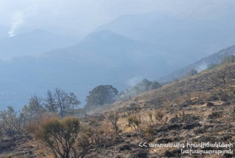 «Արևիկ» ազգային պարկի տարածքում հրդեհաշիջման աշխատանքներին իրանցի հրշեջներ չեն մասնակցել. ԱԻՆ-ի պարզաբանումը