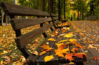 Օդի ջերմաստիճանը կնվազի 6-9 աստիճանով