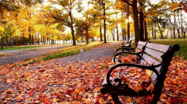 Օդի ջերմաստիճանը հոկտեմբերի 18-20-ի ցերեկն աստիճանաբար կնվազի 5-7 աստիճանով