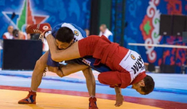 Աշխարհի պատանեկան և երիտասարդական առաջնությունում հայ սամբիստները 6 մեդալ են նվաճել