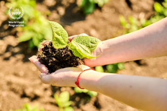 Կլիմայական ճգնաժամի հետևանքով Հայաստանը վերջին տասնամյակների ընթացքում ավելի քան 1,5 մլրդ ԱՄՆ դոլարի կորուստ է ունեցել. ՄԱԿ