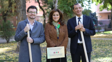 Ծառատունկ՝ նվիրված Գլազգոյում կայանալիք Կլիմայի փոփոխության մասին շրջանակային կոնվենցիայի կողմերի 26-րդ համաժողովին` COP26 –ին