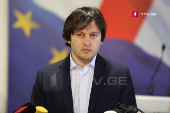 Վրաստանի իշխող կուսակցության ղեկավարը Եվրախորհրդարանի պատգամավորներին անվանել է ընդդիմադիր կուսակցության լոբբիստներ