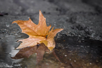 Օդի ջերմաստիճանը հոկտեմբերի 26-27-ի ցերեկը աստիճանաբար կնվազի 4-6 աստիճանով