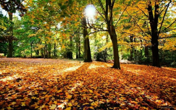 Օդի ջերմաստիճանը ցերեկը կնվազի 4-6 աստիճանով. սպասվում են տեղումներ