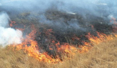 Զանգակատուն գյուղում այրվել է մոտ 100 հա խոտածածկ տարածք