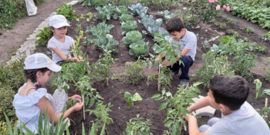 Ամփոփվել է «Հայաստանի լավագույն դպրոցական մինի այգի» մրցույթը