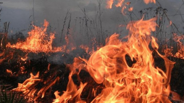 Հրդեհ Ֆանտան գյուղում. ԱԻՆ