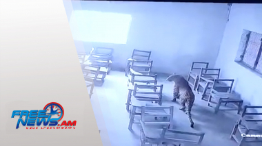 Միջազգային լուրեր 03.12.2021