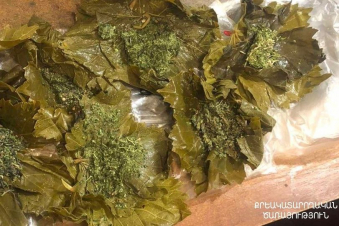 Խաղողի թփով քողարկված թմրամիջոցներ․ ՔԿԾ