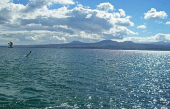 Գեղարքունիքում ոստիկանները «Կարմիր ավազ» կոչվող տարածքում որսագողերի են հայտնաբերել. առգրավվել է 27 կգ ձուկ