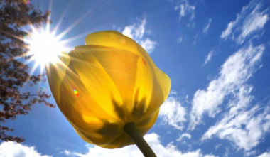 Օդի ջերմաստիճանը հունվարի 11-ի գիշերը կբարձրանա 3-5 աստիճանով