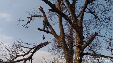  Իջևանում փրկարարները հեռացրել են ճյուղը տան տանիքից