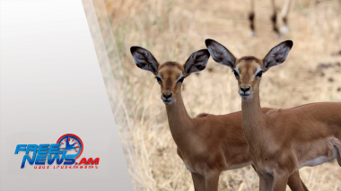 Միջազգային լուրեր 15.01.2022