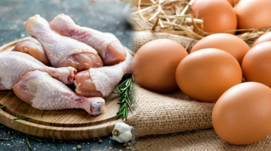 Չեխիայից և Լեհաստանից թռնամսի և ձվի ներկրումն արգելվել է