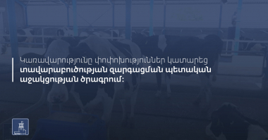 Ծրագրի շրջանակներում վարկը տրամադրվում է ՀՀ դրամով՝ տարեկան մինչև 14 տոկոս տոկոսադրույքով