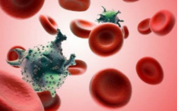 Վերջին 5 տարիներին Հայաստանում հայտնաբերված ՄԻԱՎ վարակ ունեցող մարդկանց թիվը տատանվում է տարեկան միջինը 360-ի սահմանում