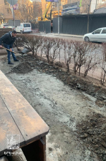 Երևանում կանխվել է կանաչ գոտու հաշվին մայթն ընդլայնելու հերթական փորձը