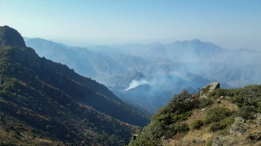Հրդեհ է բռնկվել «Դիլիջանի ազգային պարկ»-ի տարածքում․ ջերմահարվել է մոտ 120 եղևնի