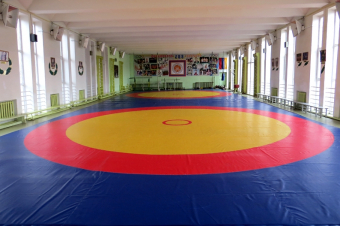 ՊՈԱԿ և ՀՈԱԿ մարզադպրոցները կառաջնորդվեն միևնույն չափորոշիչներով. կառավարության որոշումը