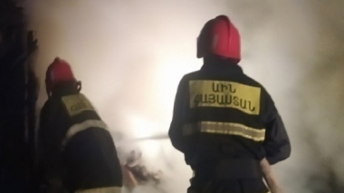 Թեղուտ համայնքում հրդեհի հետևանքով կենդանիներ են անկել