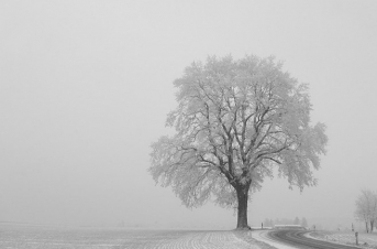Ուշադրություն.  Տաթև-Քաշունի ավտոճանապարհին տեղ-տեղ մերկասառույց է
