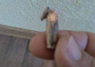 Ադրբեջանցիները կրկին կրակում են. գնդակներից մեկը խոցել է բնակիչներից մեկի բնակարանի պատուհանը և թափանցել ներս