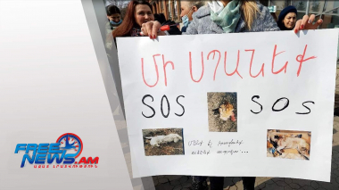 Աստծուն դեմ է. շների և կենդանասերների բողոքի ակցիան՝ Գյումրիում