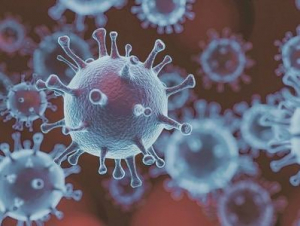 Հայաստանում հայտնաբերվել է նաև «Օմիկրոն» տարբերակի «BA.2» ենթատարբերակը