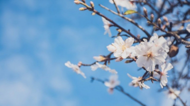 Հայաստանում ապրիլին օդի ջերմաստիճանը կլինի կլիմայական նորմայից 1-ից 2 աստիճանով բարձր. Սուրենյան