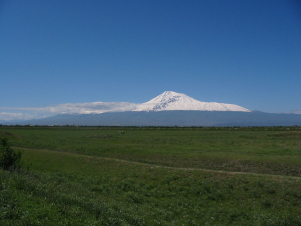 Հովտային շրջաններում սկսվել են բանջարանոցային մշակաբույսերի նախացանքային աշխատանքները