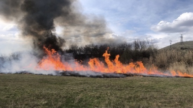 Հրշեջ-փրկարարները մարել են ընդհանուր 13.8 հա տարածքում բռնկված հրդեհները