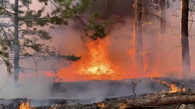 Կրասնոյարսկի երկրամասում հրդեհների զոհերի թիվը հասել է 19-ի