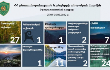 Հաշվարկվել է 61 միլիոն դրամի վնաս. ՀՀ բնապահպանության և ընդերքի տեսչական մարմնի հաշվետվությունը