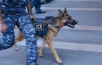 7-րդ դասարանի աշակերտը զանգել է ոստիկանություն ու ստել՝ հայտնելով դպրոցում ռումբի առկայության մասին